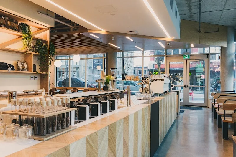 Coffee and Pastries to Savour